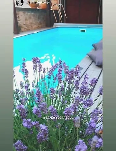 Διαμέρισμα Einzimmerapartment Mit Fass Sauna Frankisch-Crumbach